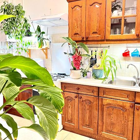 Margaret Bridge Best Spot Apartment 부다페스트 외부 사진