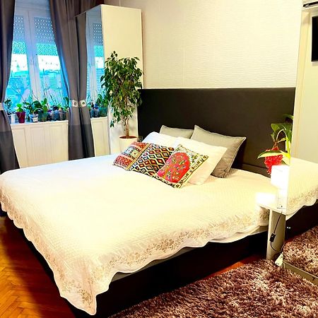 Margaret Bridge Best Spot Apartment 부다페스트 외부 사진
