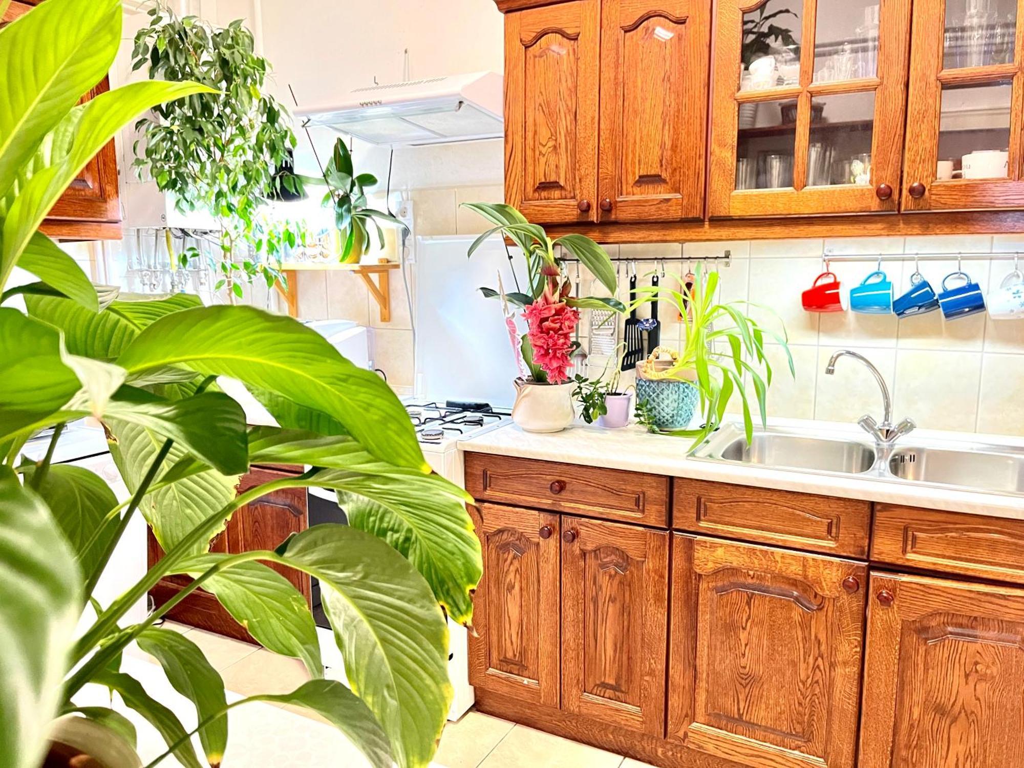 Margaret Bridge Best Spot Apartment 부다페스트 외부 사진